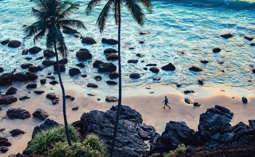 goa55
