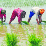 Nearly half the population still depends on a farm 1738348888329 1746177730078