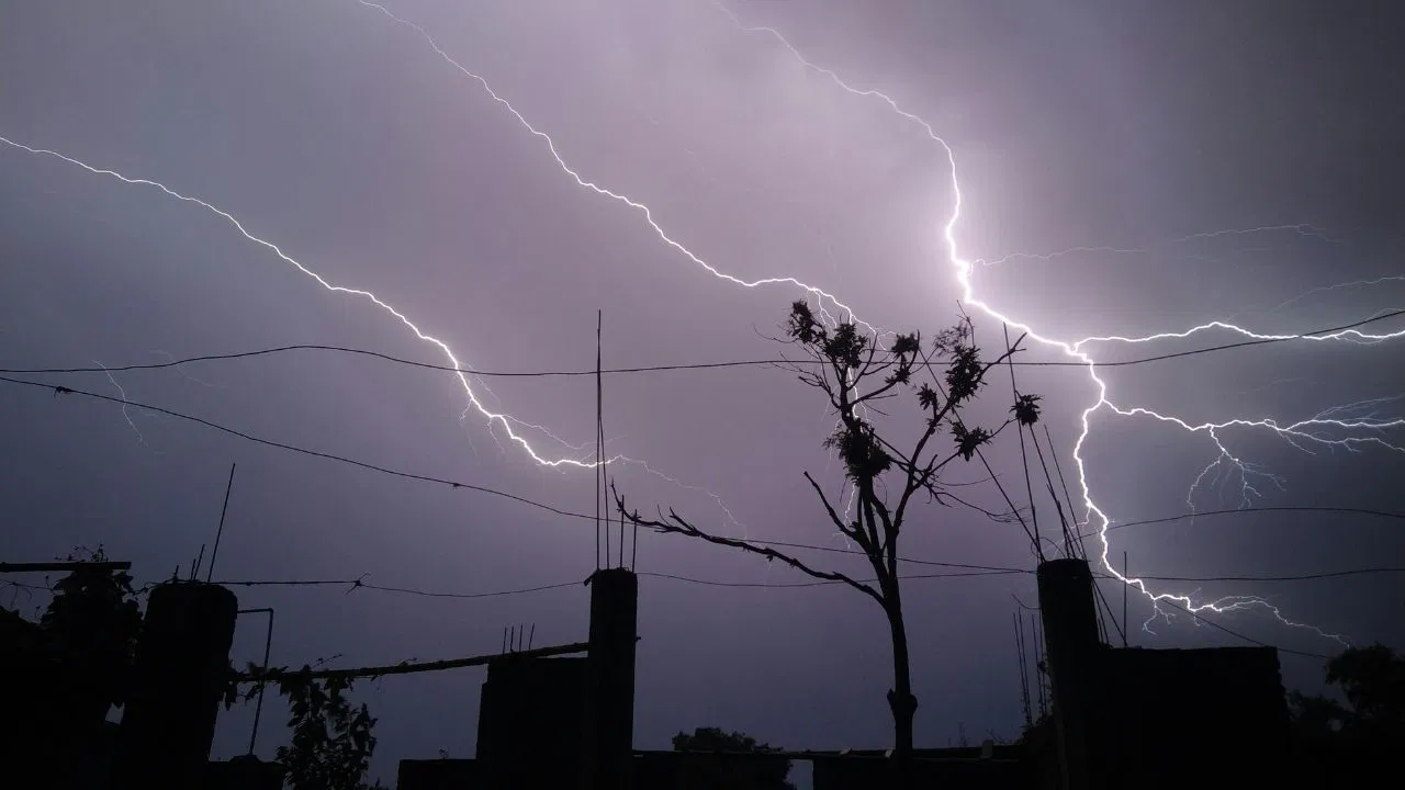 delhi weather