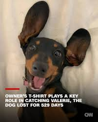 image 1045