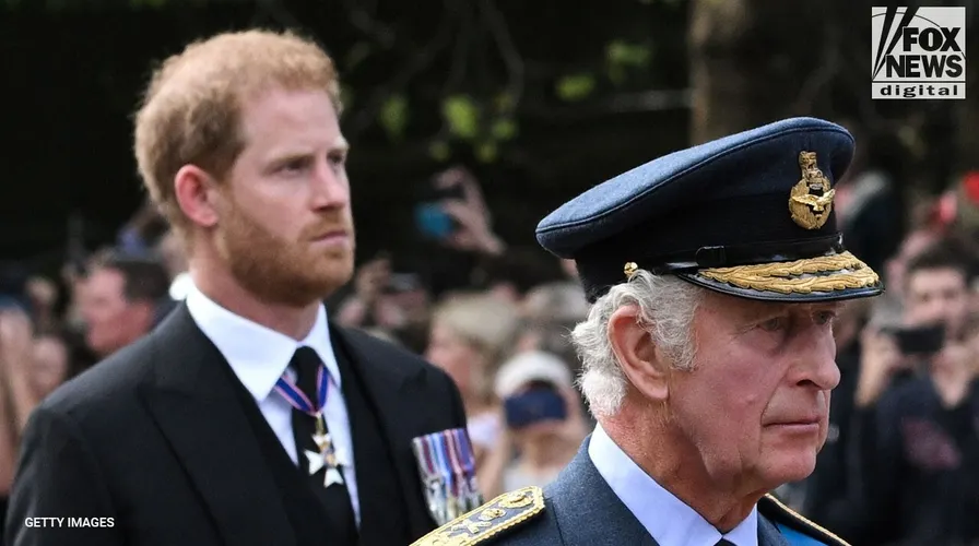 Top 7 Legal Battles Prince Harry Lost: Security Appeal Fallout 2 prince harry