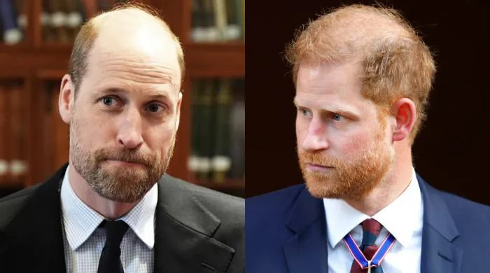 Top 5 Fallout Moments After Prince Harry’s Security Verdict 4 image 246