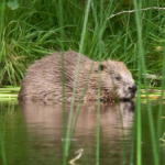 image 390