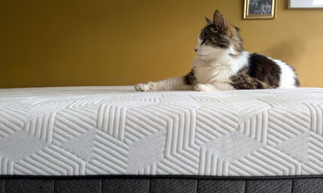 Top 6 Best Mattresses 2025 for Deep, Restful Sleep 3 image 870