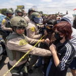 07la immigration protest carousel hqvp videoSixteenByNine3000