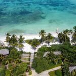 melia zanzibar