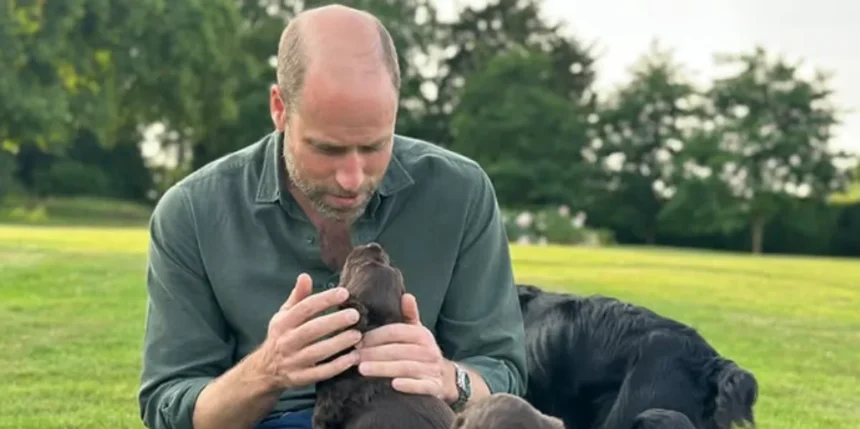 prince william