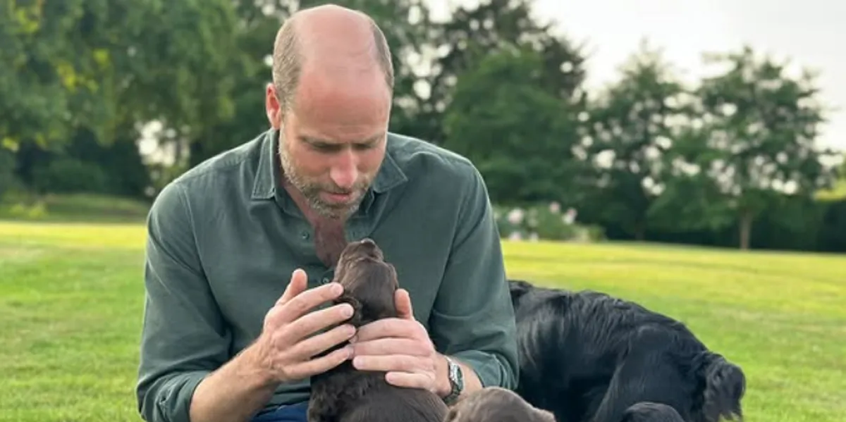prince william